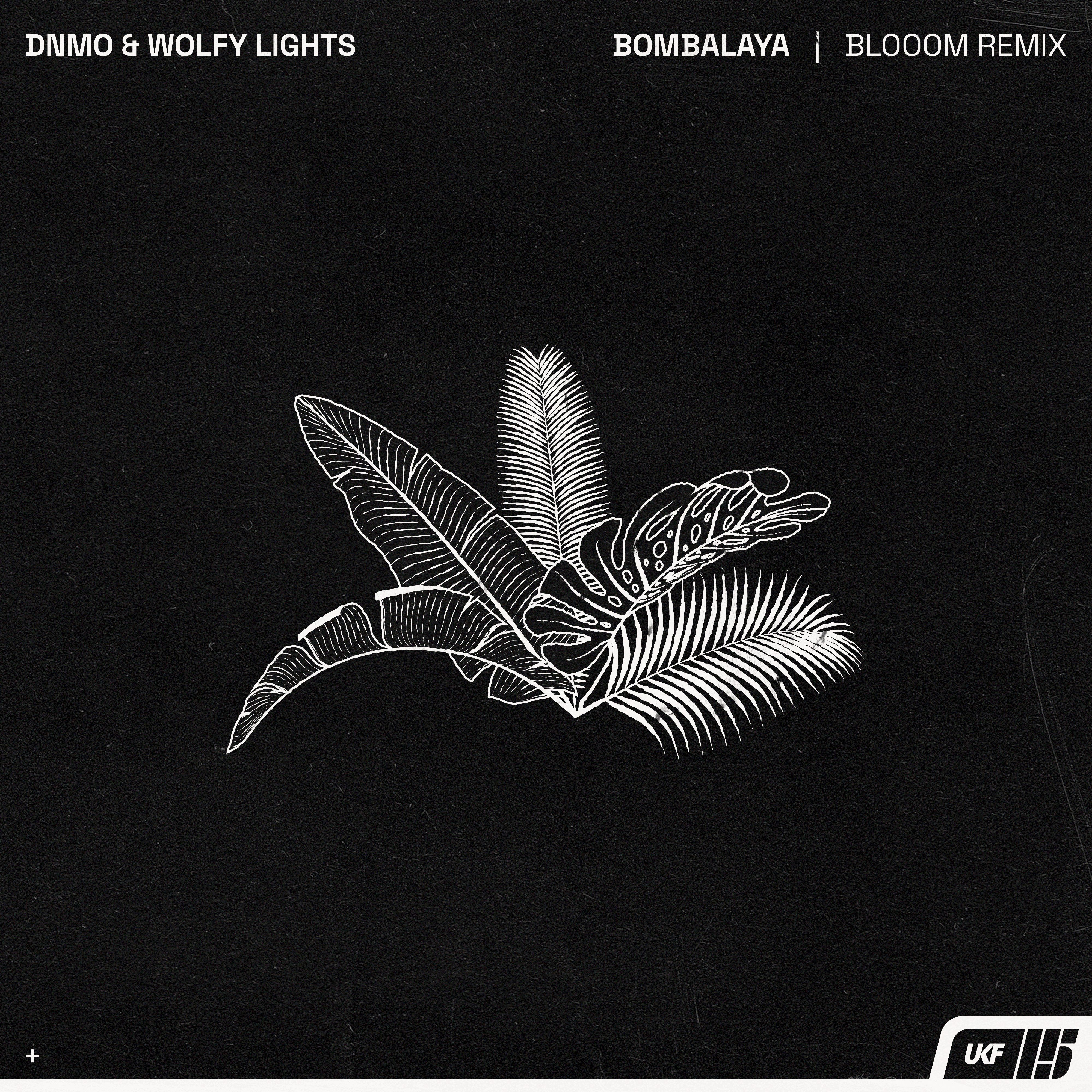 DNMO & Wolfy Lights – Bombalaya (Blooom Remix)