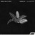 Artwork for DNMO & Wolfy Lights - Bombalaya (Blooom Remix)