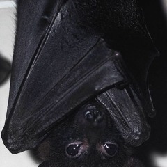 Zukenee ft Big 3vs - Playground Bats prod Fetti drip (2022)
