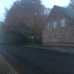 Silent Morning Fog
