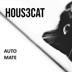 Auto Mate