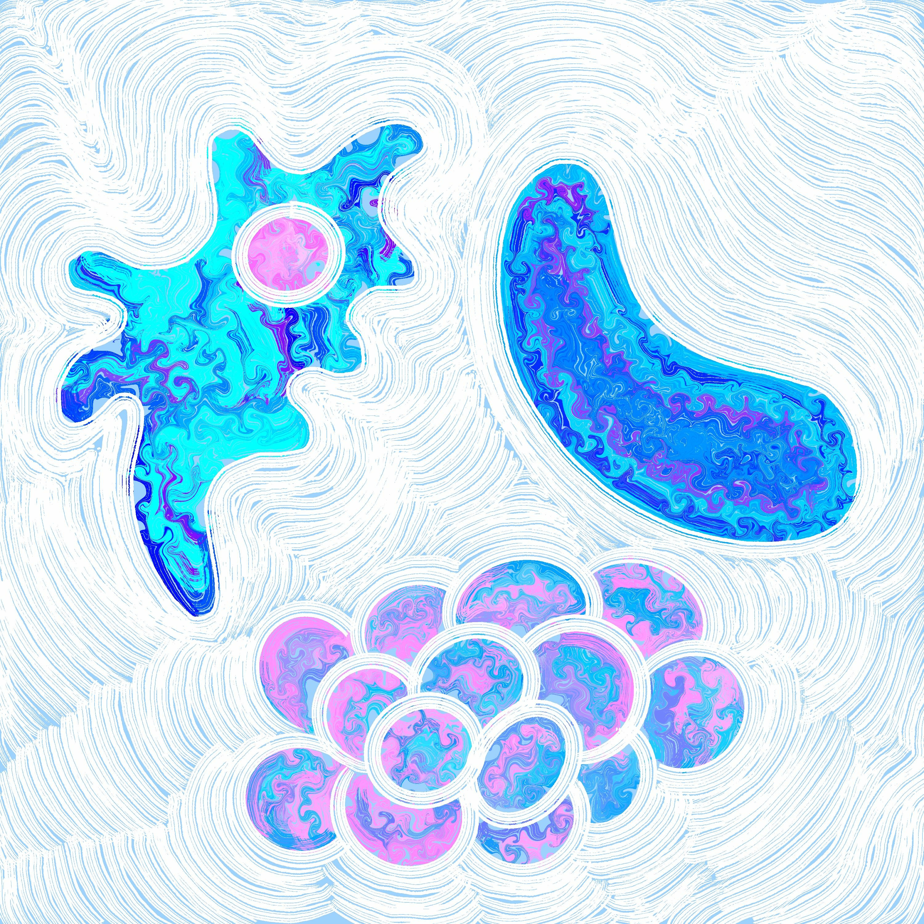 RadioBio