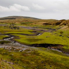 The Fairy Lough