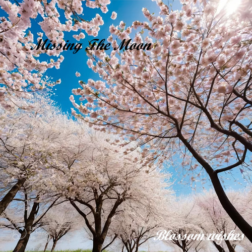 Blossom Wishes by Missing The Moon