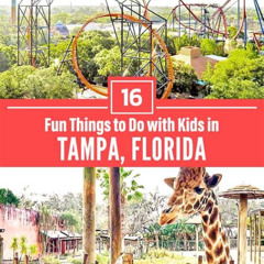 Best Kid Friendly Things To Do In Tampa Tours Reviews
