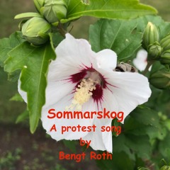 Sommarskog