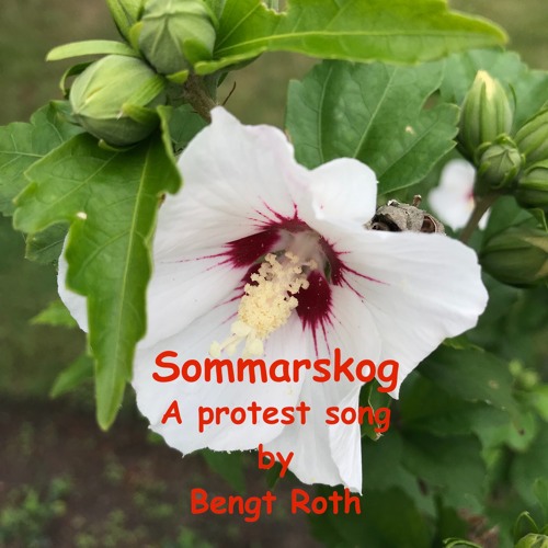 Sommarskog