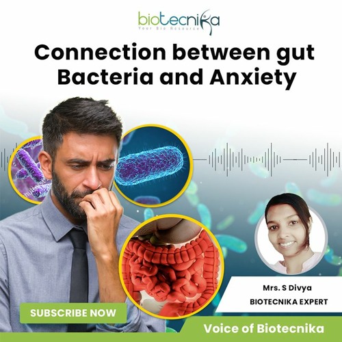 Stream episode Connection Between Gut Bacteria and Anxiety - Voice of