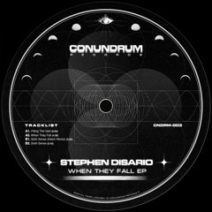 CNDRM003 - Stephen Disario - When They Fall EP (Vinyl Previews)