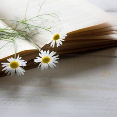 Slightly Poetic Storytelling