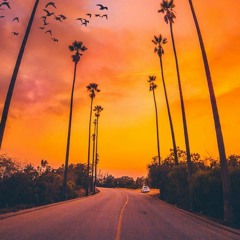 Say You Wont Let Go • (Marsh Remix ) • (2k22)