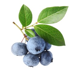 Blueberry Hill