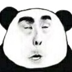 Here With Me - PANDAPAW COVER