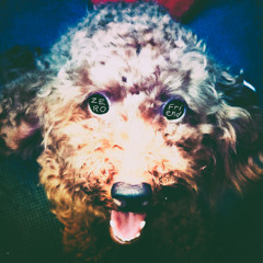 Seventeen (Working Title) – Demo Track