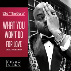 What You Wont Do For Love (Hula's Soulful Mix)