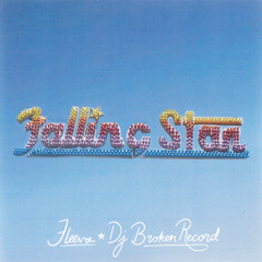 Fleevs - Falling Star (Prod. DJ Broken Record)