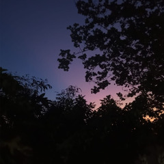 twoface (p. kid axl & ayoley)