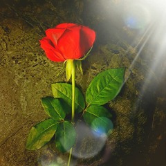 uptempo is better mix ce