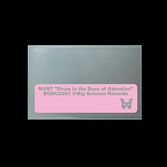 NVST - Request for Quantity (Everworkedonanarchy Mix) [Big Science Records]