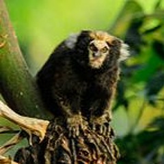 WhoVille  [Ft. Jon & 8ro8]