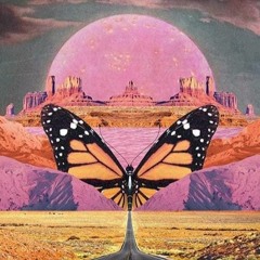#45 ⪮ Tierra do Aphrodite // Ecstatic Dance