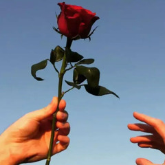 Do you love me?