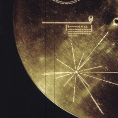 Golden Saucer /ゴールデンソーサー