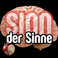 SINN der Sinne