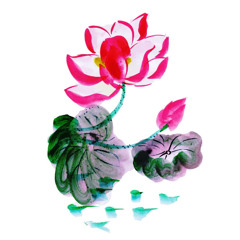 Lotus Flower (Ben Howard Cover)