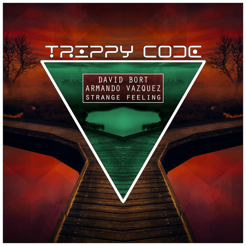David Bort & Armando Vazquez - Strange Feeling