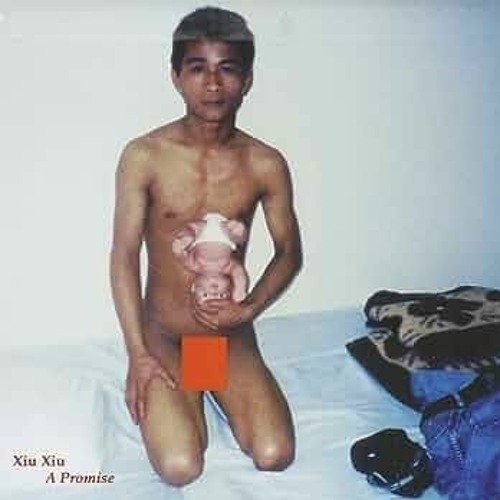 xiu xiu - sad redux-o-grapher