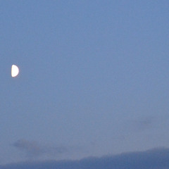 this house creaks at night