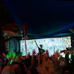 Trtle Bonnaroo 2025 (Love@roo Stage)