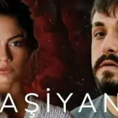 Afra & Sefo - Aşiyan