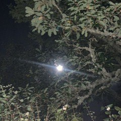 Fredo x Slim x Uk Rap Instrumental | Comet |