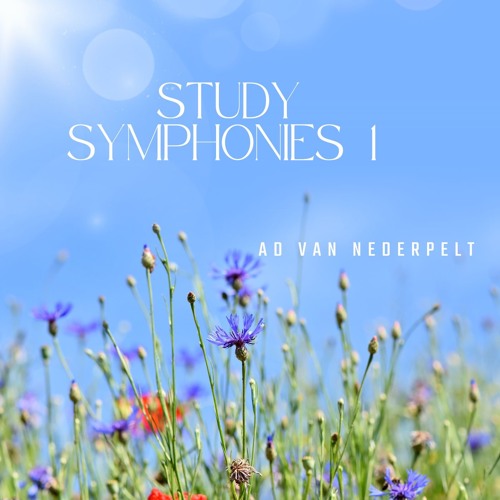 Study Symphonies. (Composer/performer: Ad van Nederpelt)