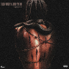 I DID WHAT I HAD TO DO (REMIX)