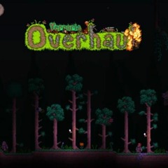 Terraria Overhaul Music Overworld Night | Night Theme of the Overworld