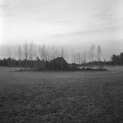 Bruk To The Woods (Back To The Woods 2024 Live Set)