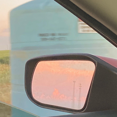 Mind & Heart (I eat plants for a living X Indie)