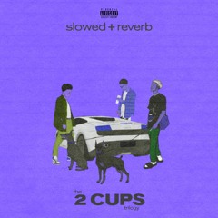 the 2 CUPS trilogy (slowed + reverb)