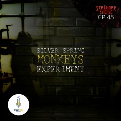 Stranger Science EP.45 การทดลองสุดโหดกับลิงแห่งซิลเวอร์สปริงส์