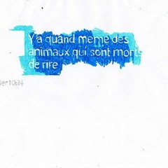 Anne Laplantine - Il y a un très beau secret