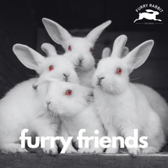 🐰🩶 FURRY FRIENDS