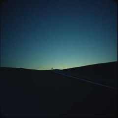 Where Have All the Songs Gone 2