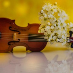 Formé background music download (FREE DOWNLOAD)