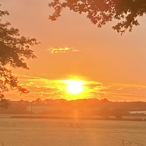 MiJulie - Jumbles & Kanah Flex