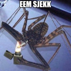 Goeie boengs #1