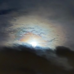 I Like You Just the Way I You Am Are