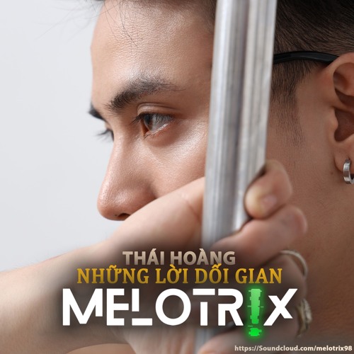 THÁI HOÀNG - NHỮNG LỜI DỐI GIAN (MELOTRIX Remix)